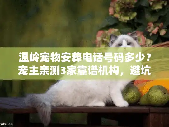 温岭宠物安葬电话号码多少？宠主亲测3家靠谱机构，避坑细节全说透