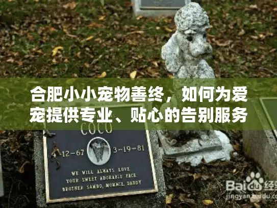 合肥小小宠物善终，如何为爱宠提供专业、贴心的告别服务？