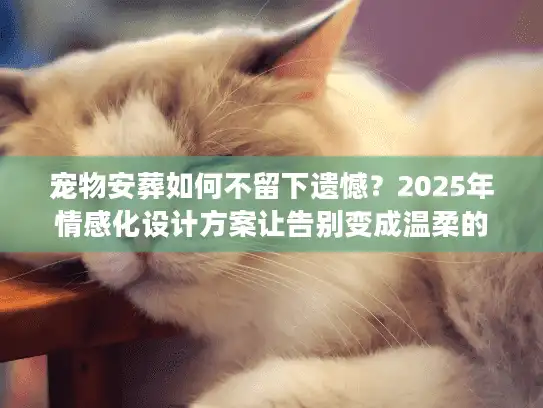 宠物安葬如何不留下遗憾？2025年情感化设计方案让告别变成温柔的收尾