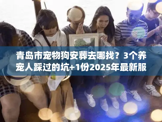 青岛市宠物狗安葬去哪找？3个养宠人踩过的坑+1份2025年最新服务清单