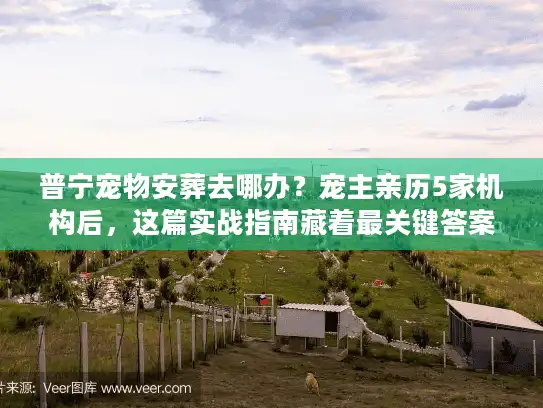 普宁宠物安葬去哪办？宠主亲历5家机构后，这篇实战指南藏着最关键答案