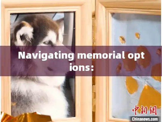 Navigating memorial options: