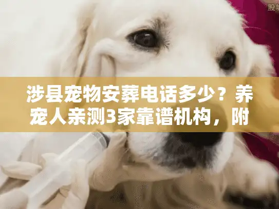 涉县宠物安葬电话多少？养宠人亲测3家靠谱机构，附避坑指南