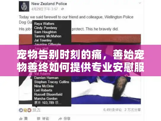宠物告别时刻的痛，善始宠物善终如何提供专业安慰服务？