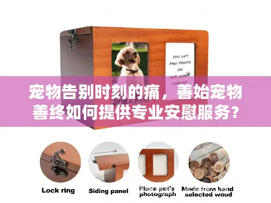 宠物告别时刻的痛，善始宠物善终如何提供专业安慰服务？