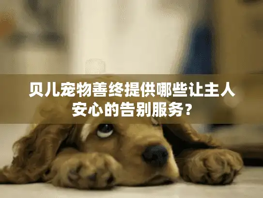贝儿宠物善终提供哪些让主人安心的告别服务？