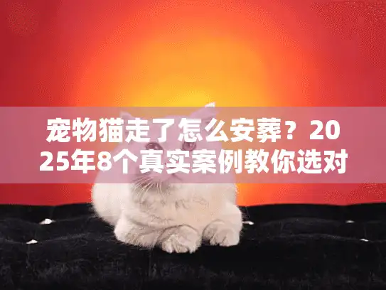 宠物猫走了怎么安葬？2025年8个真实案例教你选对宠物殡葬服务，别让遗憾再发生