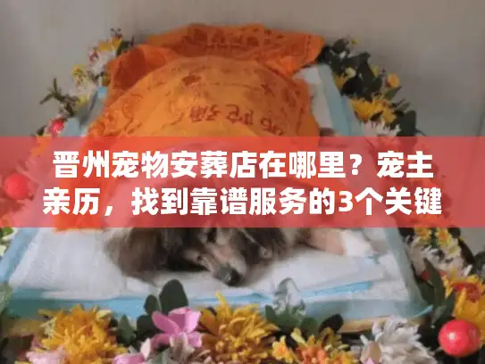 晋州宠物安葬店在哪里？宠主亲历，找到靠谱服务的3个关键