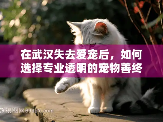 在武汉失去爱宠后，如何选择专业透明的宠物善终服务?