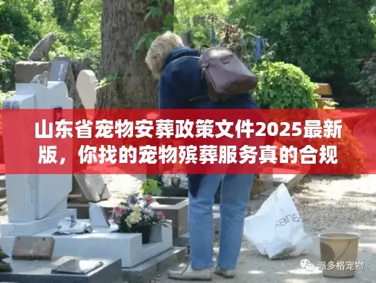 山东省宠物安葬政策文件2025最新版，你找的宠物殡葬服务真的合规吗？
