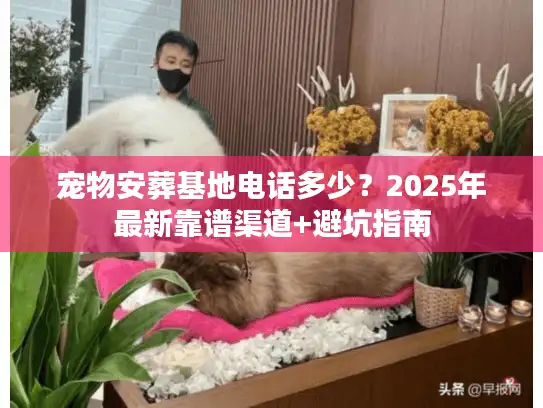 宠物安葬基地电话多少？2025年最新靠谱渠道+避坑指南