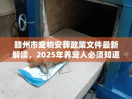 赣州市宠物安葬政策文件最新解读，2025年养宠人必须知道的殡葬服务红线与合法路径