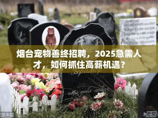 烟台宠物善终招聘，2025急需人才，如何抓住高薪机遇？