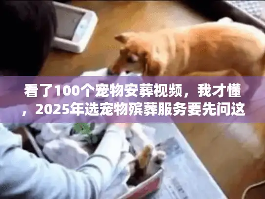 看了100个宠物安葬视频，我才懂，2025年选宠物殡葬服务要先问这4个问题