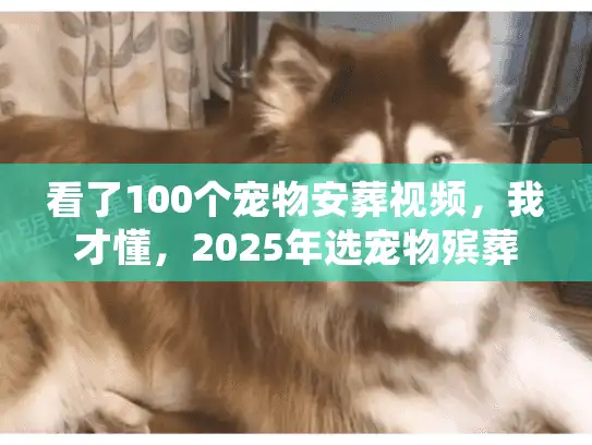 看了100个宠物安葬视频，我才懂，2025年选宠物殡葬服务要先问这4个问题