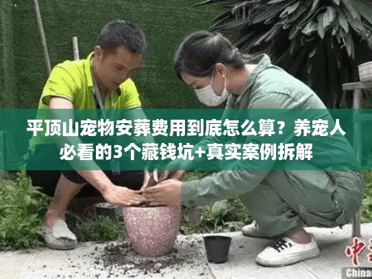平顶山宠物安葬费用到底怎么算？养宠人必看的3个藏钱坑+真实案例拆解