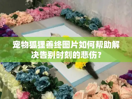 宠物狐狸善终图片如何帮助解决告别时刻的悲伤？