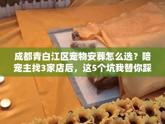 成都青白江区宠物安葬怎么选？陪宠主找3家店后，这5个坑我替你踩过了