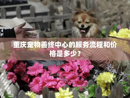 重庆宠物善终中心的服务流程和价格是多少？