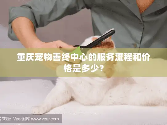 重庆宠物善终中心的服务流程和价格是多少？