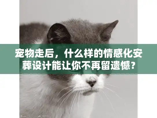 宠物走后，什么样的情感化安葬设计能让你不再留遗憾？