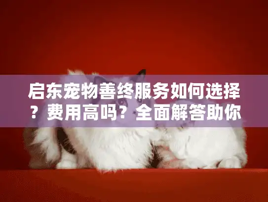 启东宠物善终服务如何选择？费用高吗？全面解答助你安心告别