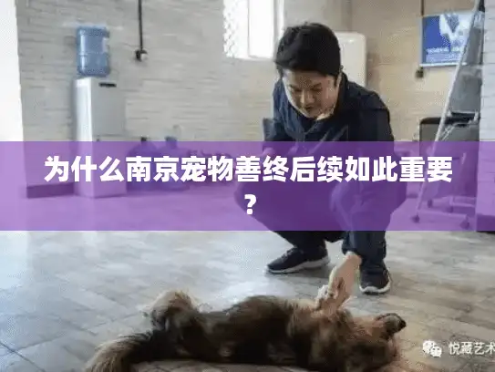 为什么南京宠物善终后续如此重要？