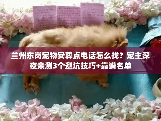 兰州东岗宠物安葬点电话怎么找？宠主深夜亲测3个避坑技巧+靠谱名单
