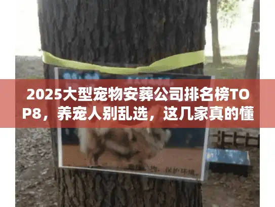 2025大型宠物安葬公司排名榜TOP8，养宠人别乱选，这几家真的懂怎么送毛孩子最后一程！