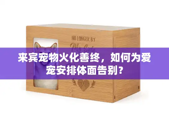 来宾宠物火化善终，如何为爱宠安排体面告别？