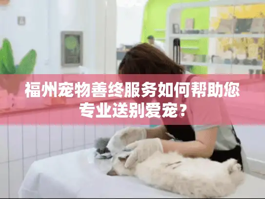 福州宠物善终服务如何帮助您专业送别爱宠？