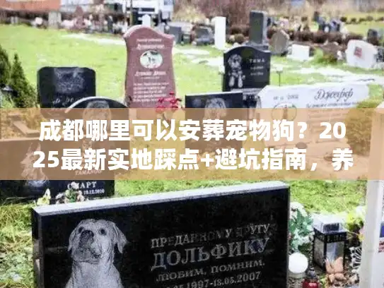 成都哪里可以安葬宠物狗？2025最新实地踩点+避坑指南，养宠人必看