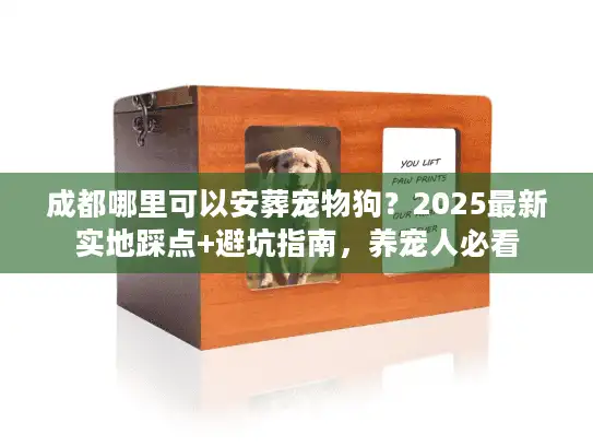 成都哪里可以安葬宠物狗？2025最新实地踩点+避坑指南，养宠人必看