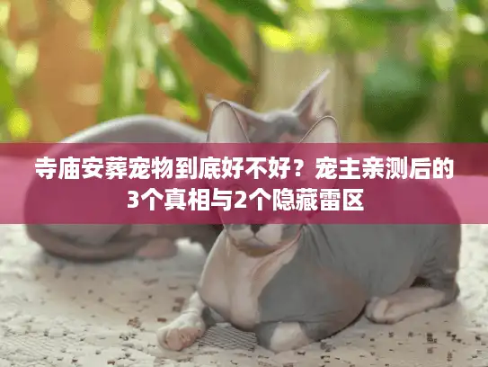 寺庙安葬宠物到底好不好？宠主亲测后的3个真相与2个隐藏雷区