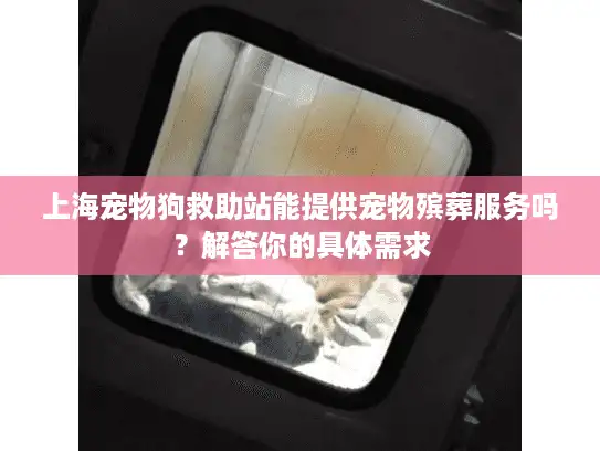上海宠物狗救助站能提供宠物殡葬服务吗？解答你的具体需求