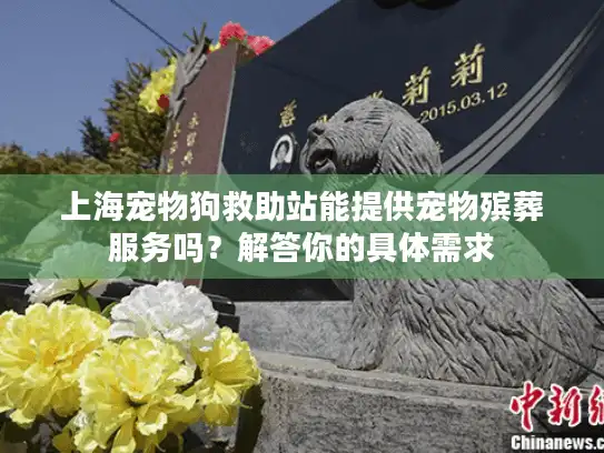 上海宠物狗救助站能提供宠物殡葬服务吗？解答你的具体需求