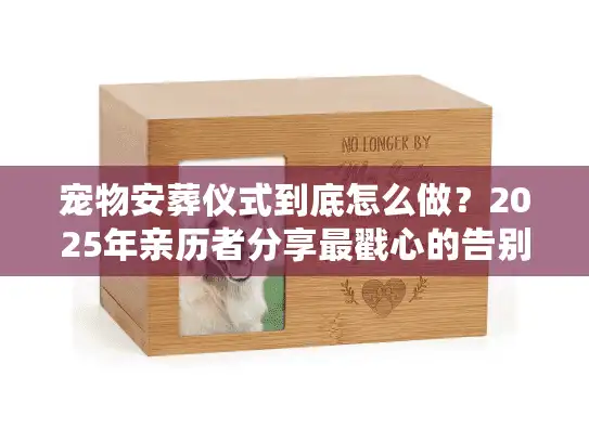 宠物安葬仪式到底怎么做？2025年亲历者分享最戳心的告别流程与服务真相