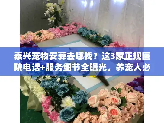 泰兴宠物安葬去哪找？这3家正规医院电话+服务细节全曝光，养宠人必看！