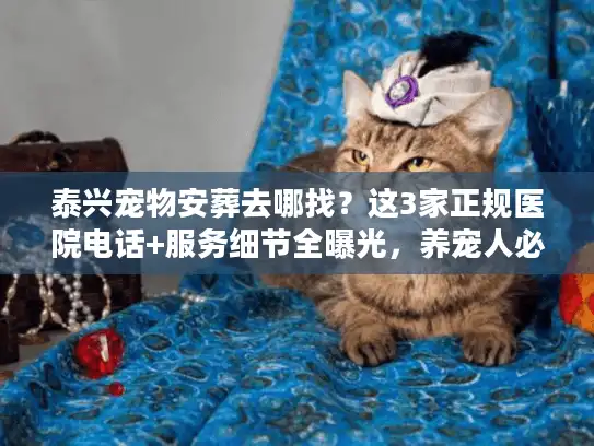 泰兴宠物安葬去哪找？这3家正规医院电话+服务细节全曝光，养宠人必看！