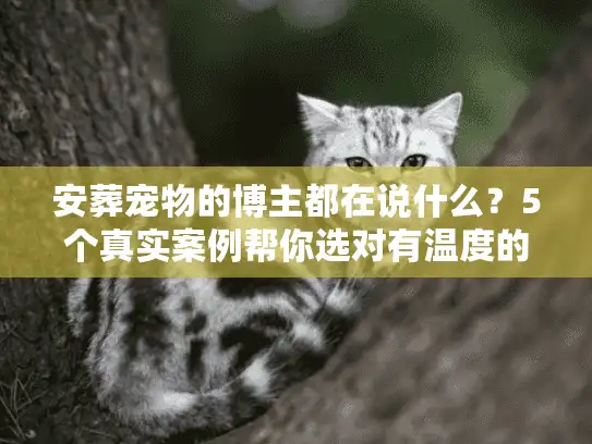 安葬宠物的博主都在说什么？5个真实案例帮你选对有温度的殡葬服务