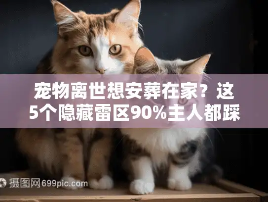 宠物离世想安葬在家？这5个隐藏雷区90%主人都踩过！