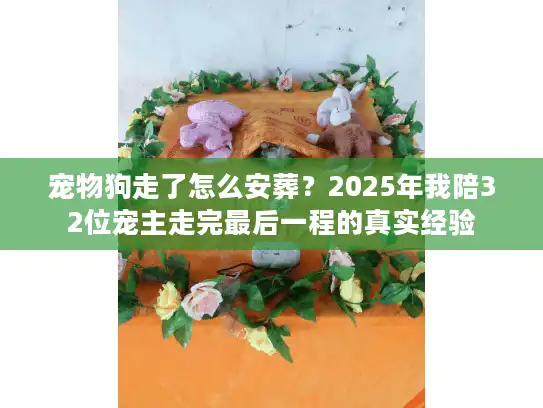 宠物狗走了怎么安葬？2025年我陪32位宠主走完最后一程的真实经验