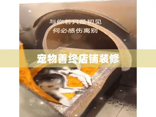 宠物善终店铺装修