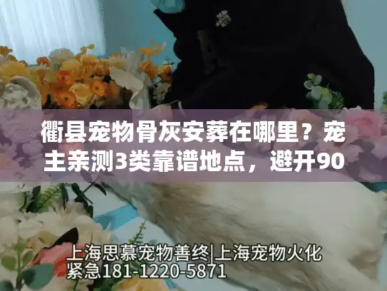 衢县宠物骨灰安葬在哪里？宠主亲测3类靠谱地点，避开90%的坑