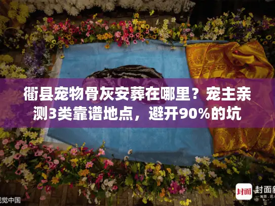 衢县宠物骨灰安葬在哪里？宠主亲测3类靠谱地点，避开90%的坑