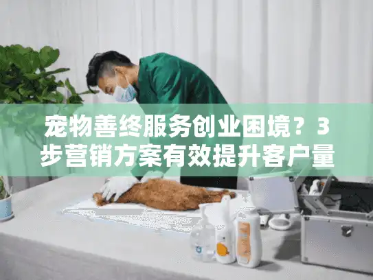 宠物善终服务创业困境？3步营销方案有效提升客户量