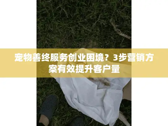 宠物善终服务创业困境？3步营销方案有效提升客户量