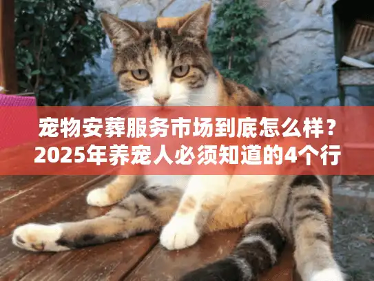 宠物安葬服务市场到底怎么样？2025年养宠人必须知道的4个行业真相