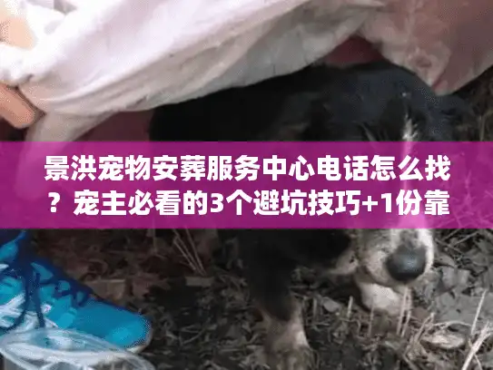 景洪宠物安葬服务中心电话怎么找？宠主必看的3个避坑技巧+1份靠谱名单