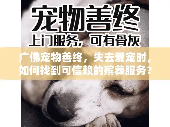 广佛宠物善终，失去爱宠时，如何找到可信赖的殡葬服务？